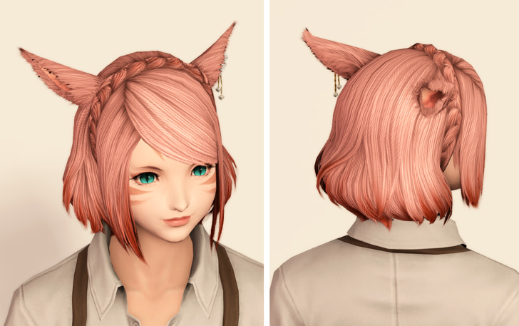 Ff14 モグモグコレクション ファンフェス 開催決定 取得可能アイテムと注意点まとめ Ff14攻略日記 あうらのしっぽ