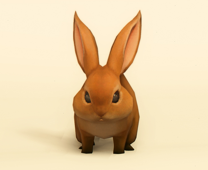 ドワーフラビット